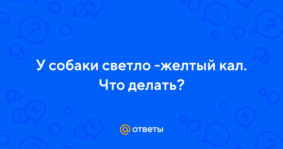 Ответы Mail.ru: У собаки светло -желтый кал. Что делать?