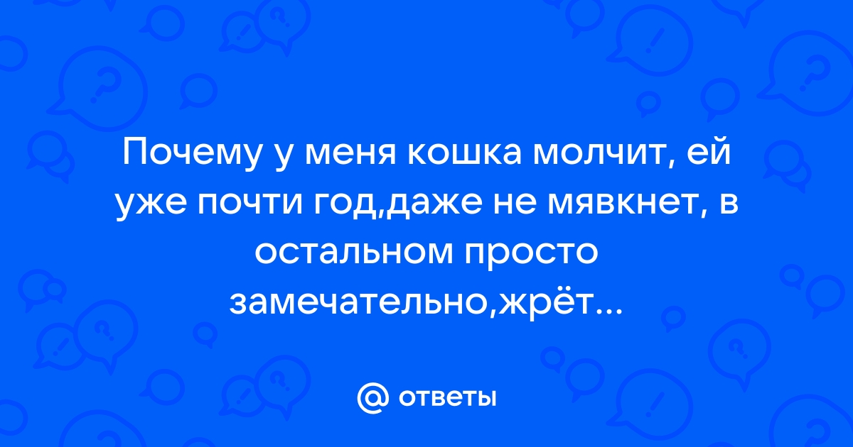 Почему коммутатор молчит ей текст