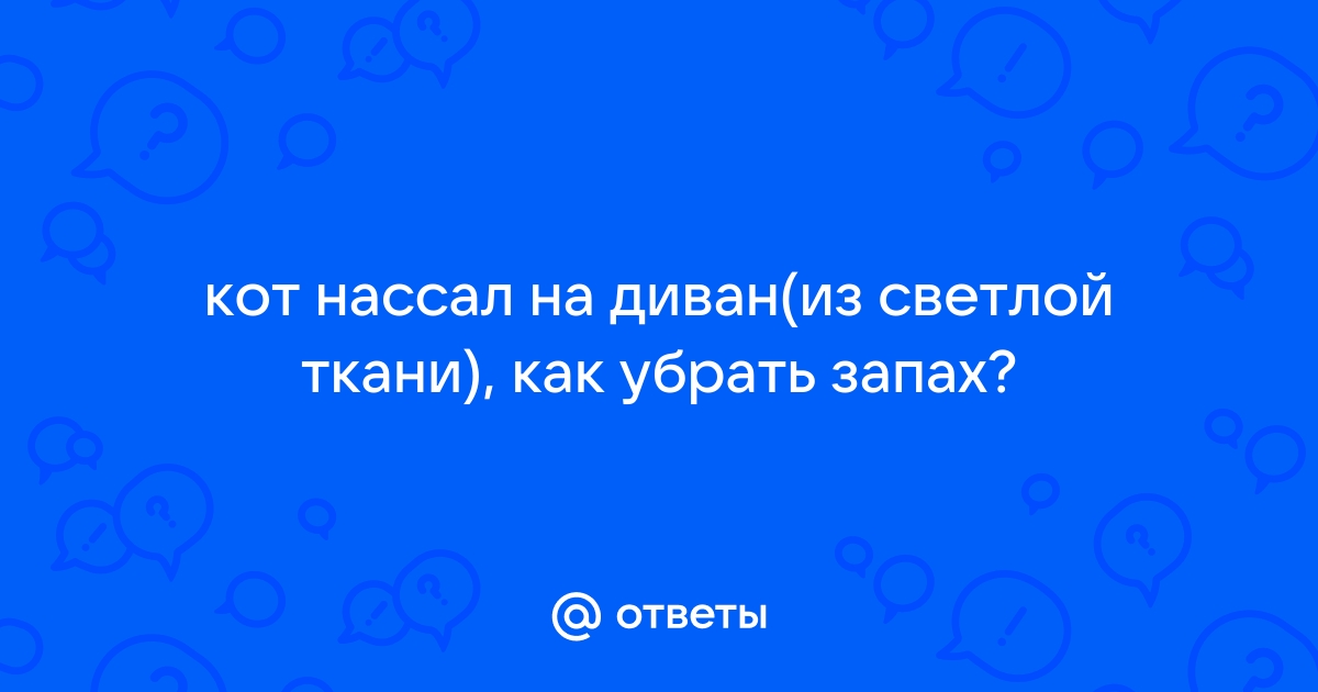 Как вывести запах с дивана