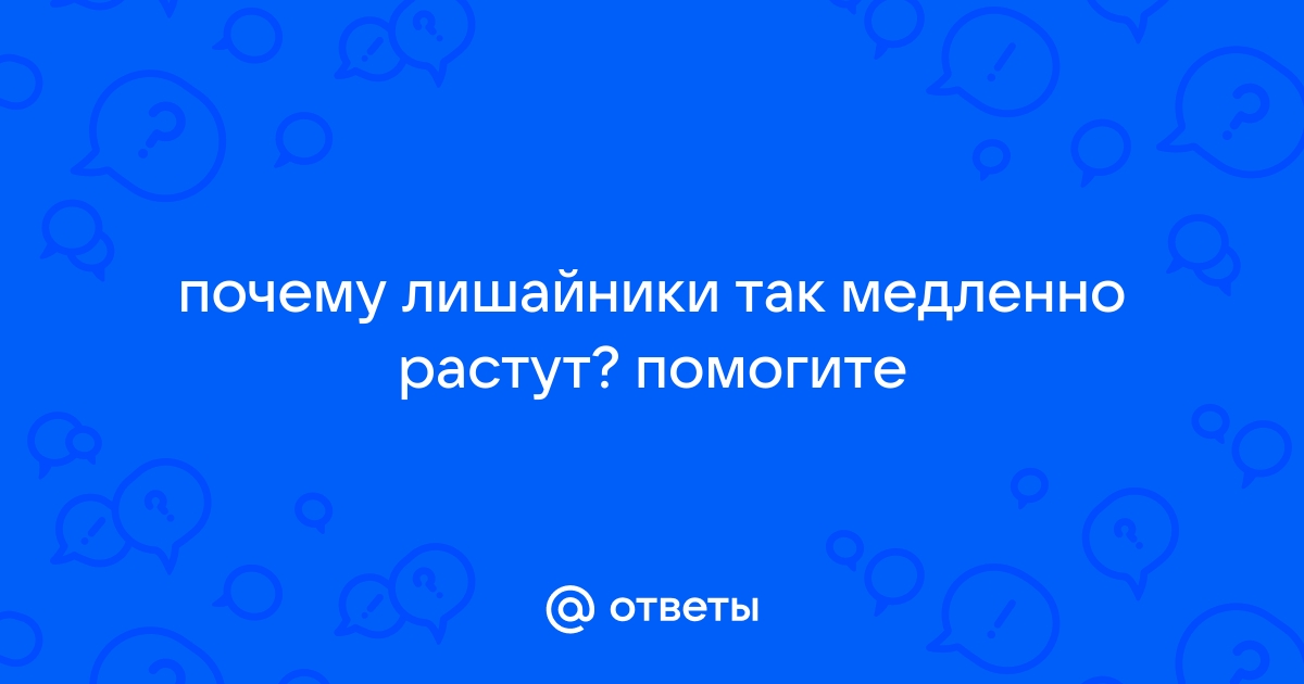 «Почему лишайники растут медленно?» — Яндекс Кью