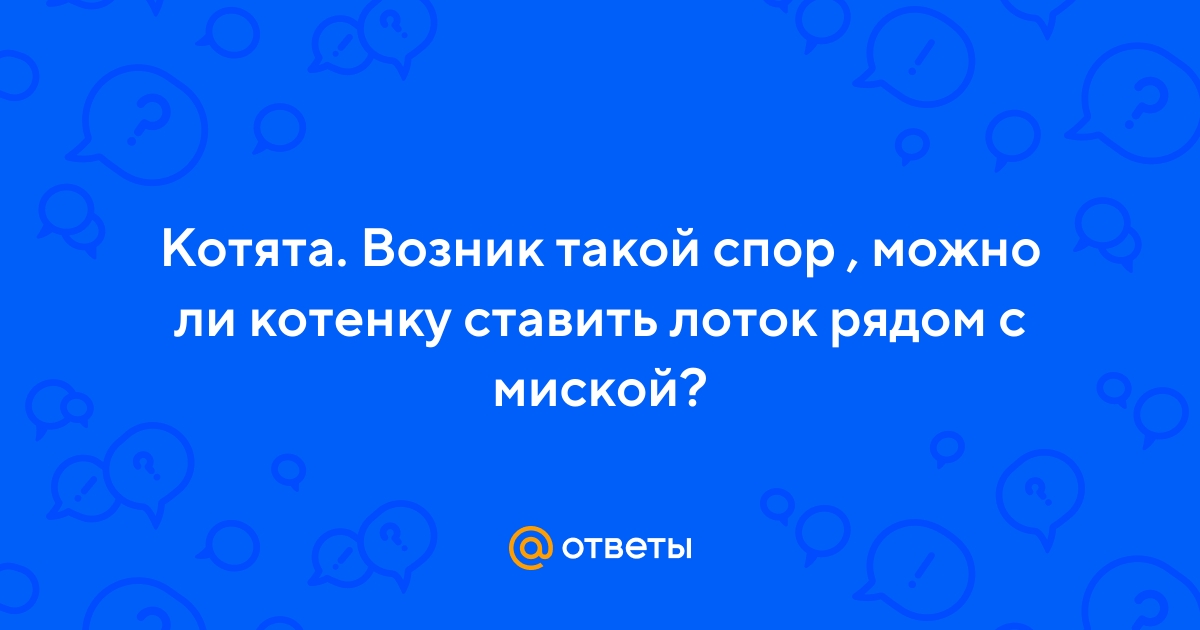 Ответы Mail.ru: Котята. Возник такой спор , можно ли котенку ставить лоток  рядом с миской?