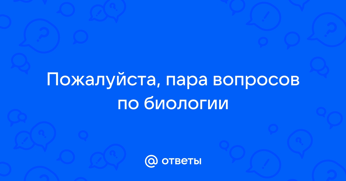 Ответы на вопросы по фотографии онлайн бесплатно