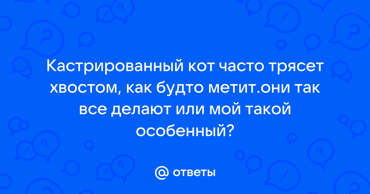 Ответы велосипеды-тут.рф: Стерилизованная кошка делает хвостом, как будто метит, что это значит