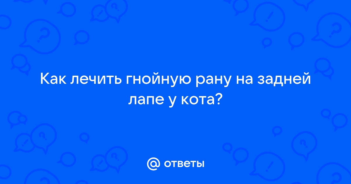 Болезни когтей у собак и кошек - симптомы, причины