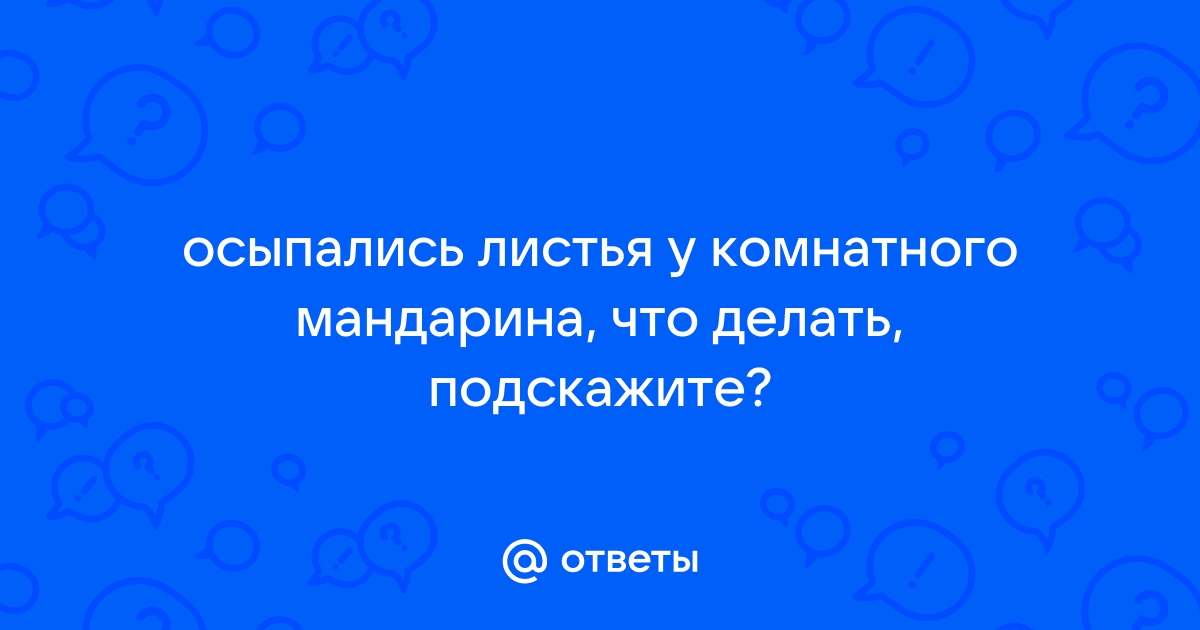 Мандарин: опадают листья и плод, почему?