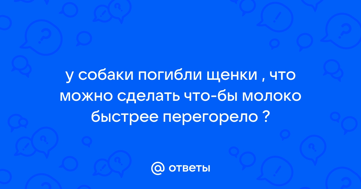 Ответы часовня-онлайн.рф: Как помочь кошке чтоб у ней перегорело молоко?