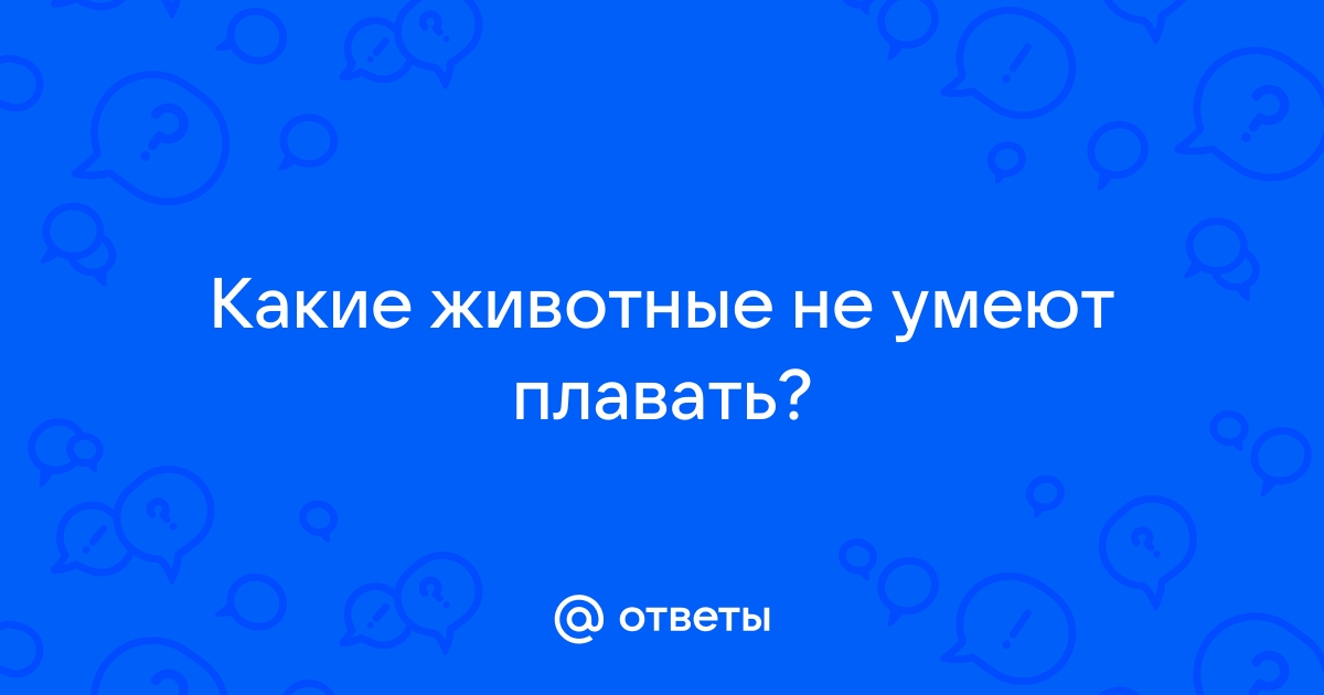 Выясняем, все ли собаки умеют плавать от природы