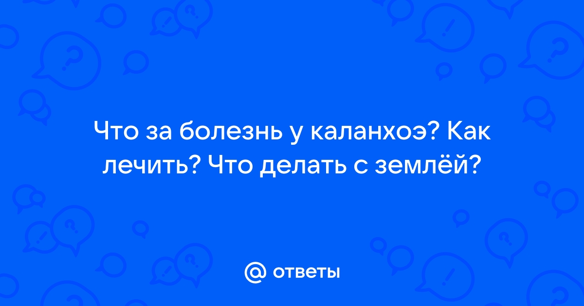 Каланхоэ в нос ― простой советский рецепт | Купрум