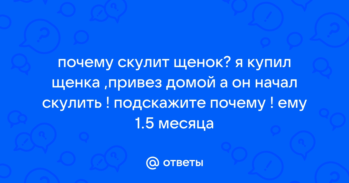 Непосредственно образовательная деятельность в старшем дошкольном возрасте «Щенок нашел друзей»