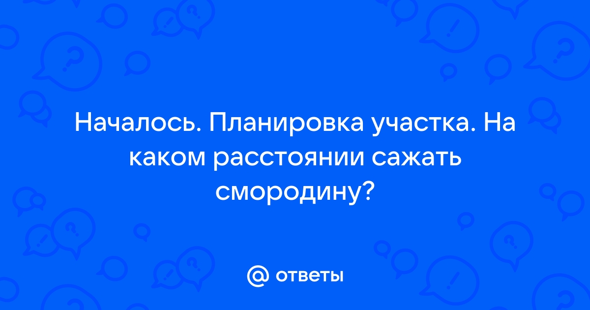 Как посадить саженцы смородины: что положить в лунку и как подготовить посадочную яму