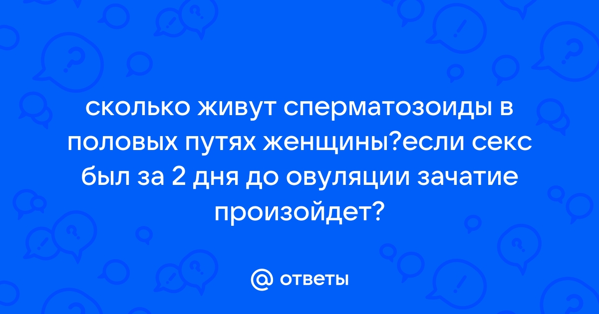 Ответы kuhni-s-umom.ru: сколько живет яйцеклетка и сперматозоид?