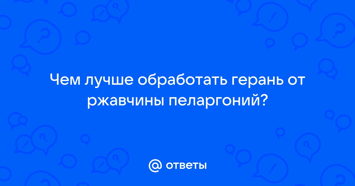 Подробное описание болезней герани и инструкция по лечению | VK