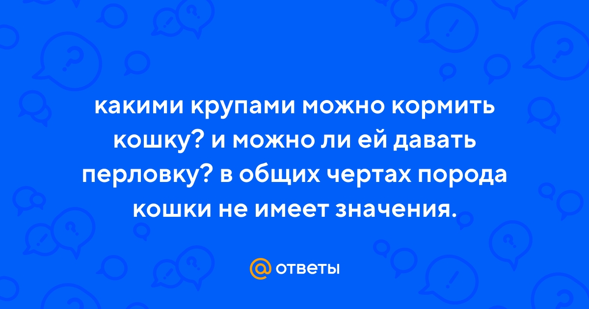 Ответы Mail.ru: какими крупами можно кормить кошку? и можно ли ей давать  перловку? в общих чертах порода кошки не имеет значения.