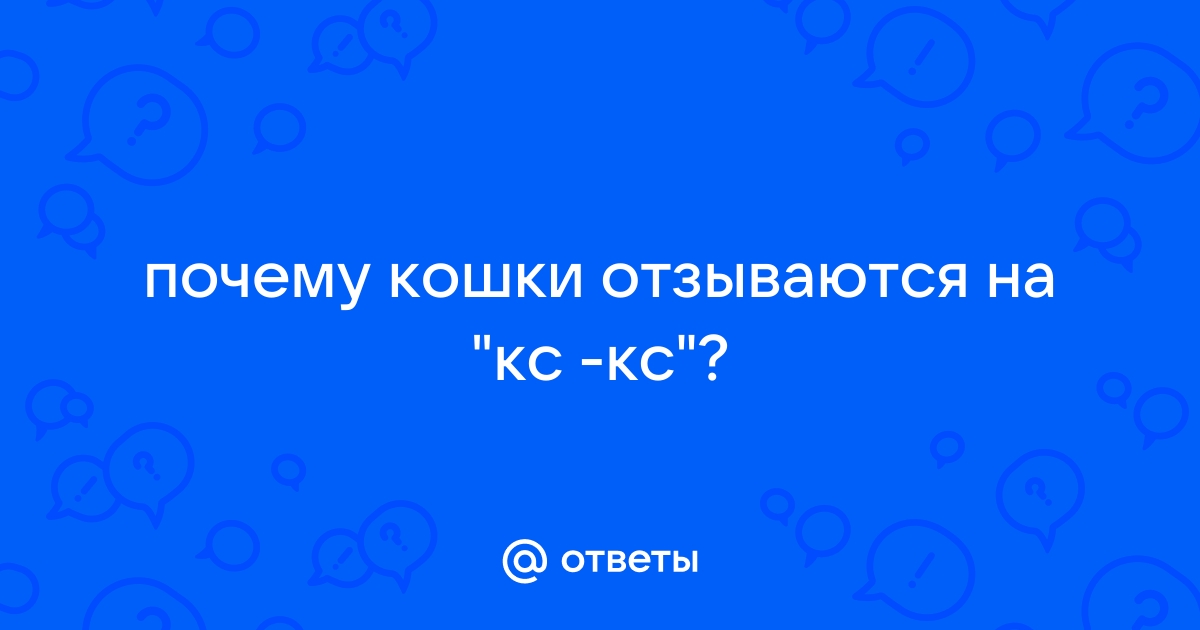 Почему коты отзываются на «кис-кис-кис»