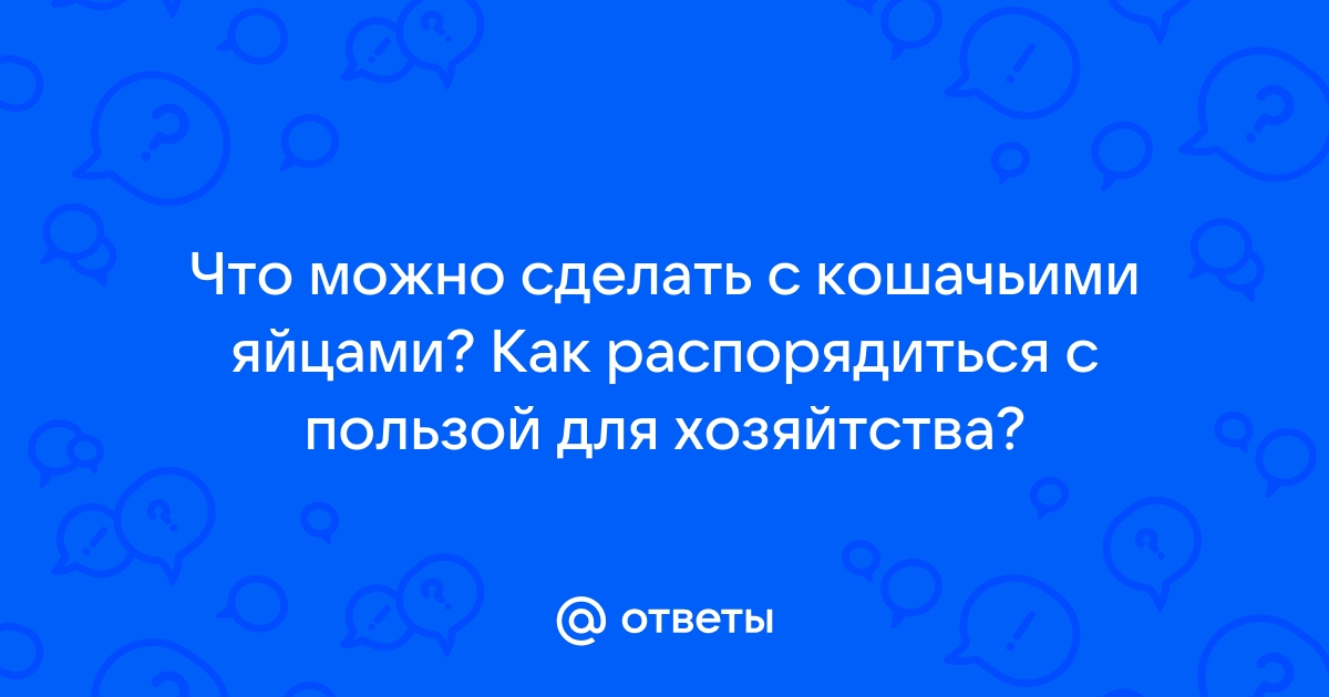 Чем заняться в свободное время: 10 интересных и полезных идей