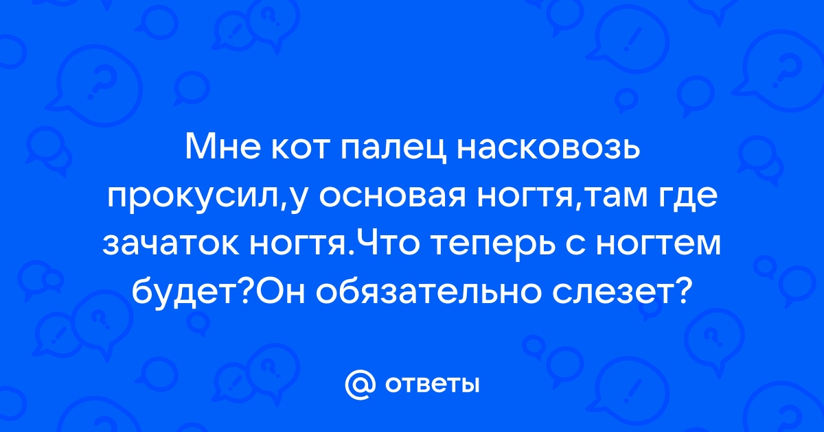 «Украл дешевый корм»: 8 неожиданных ситуаций, которые могут навредить вашему коту и кошельку