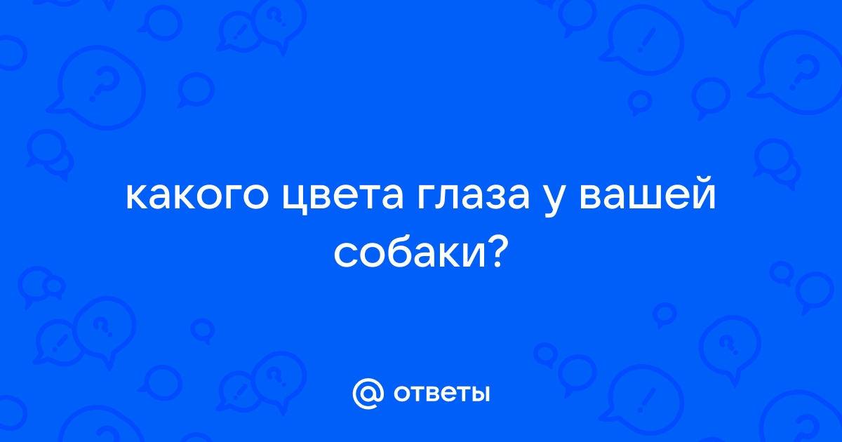 Какого цвета глаза у кати крафт