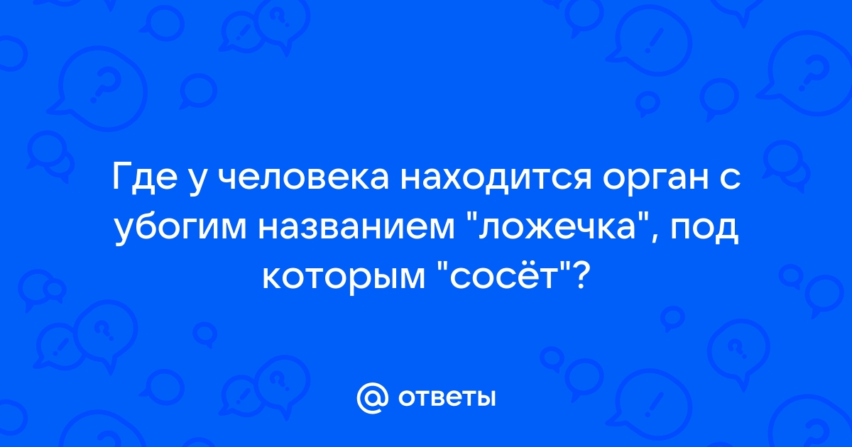 Где находится ложечка у человека фото