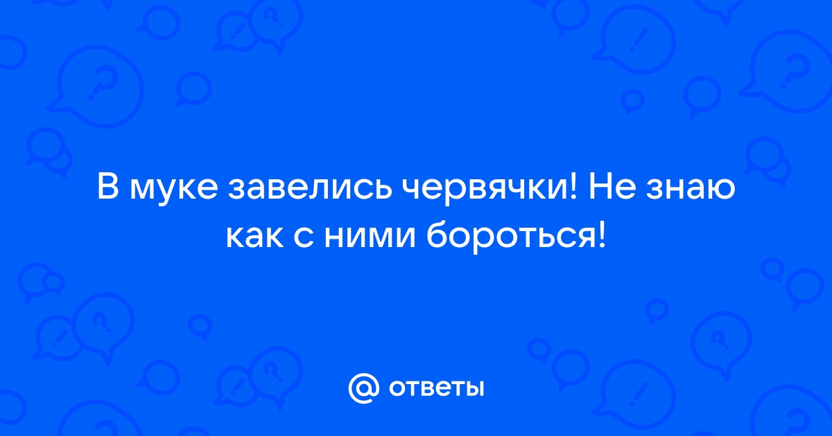 В мягкой мебели завелись червячки