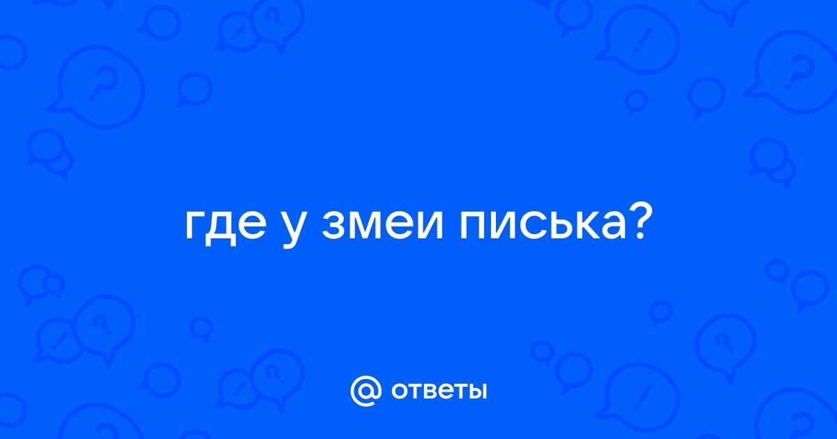 Змея залезла в пизду видео просматривайте отборные порно клипы без смс