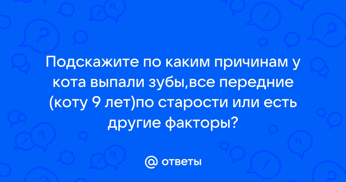 У кошки выпадают зубы: причины, диагностика и что делать - Purina ONE®