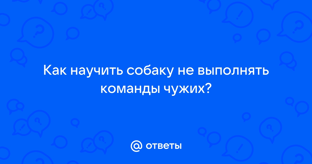 Что делать, если собака не выполняет команду