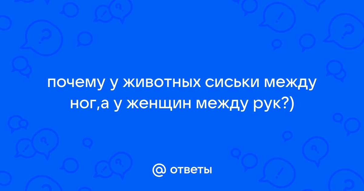 Читать Огонь желания онлайн Николь Джордан (Страница 15)