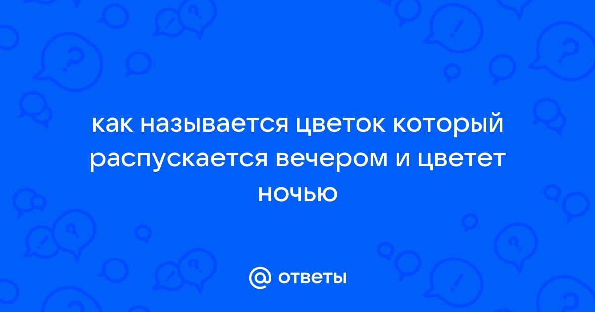 Ароматные ночные цветы