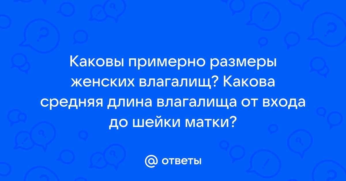 Анатомия женских половых органов