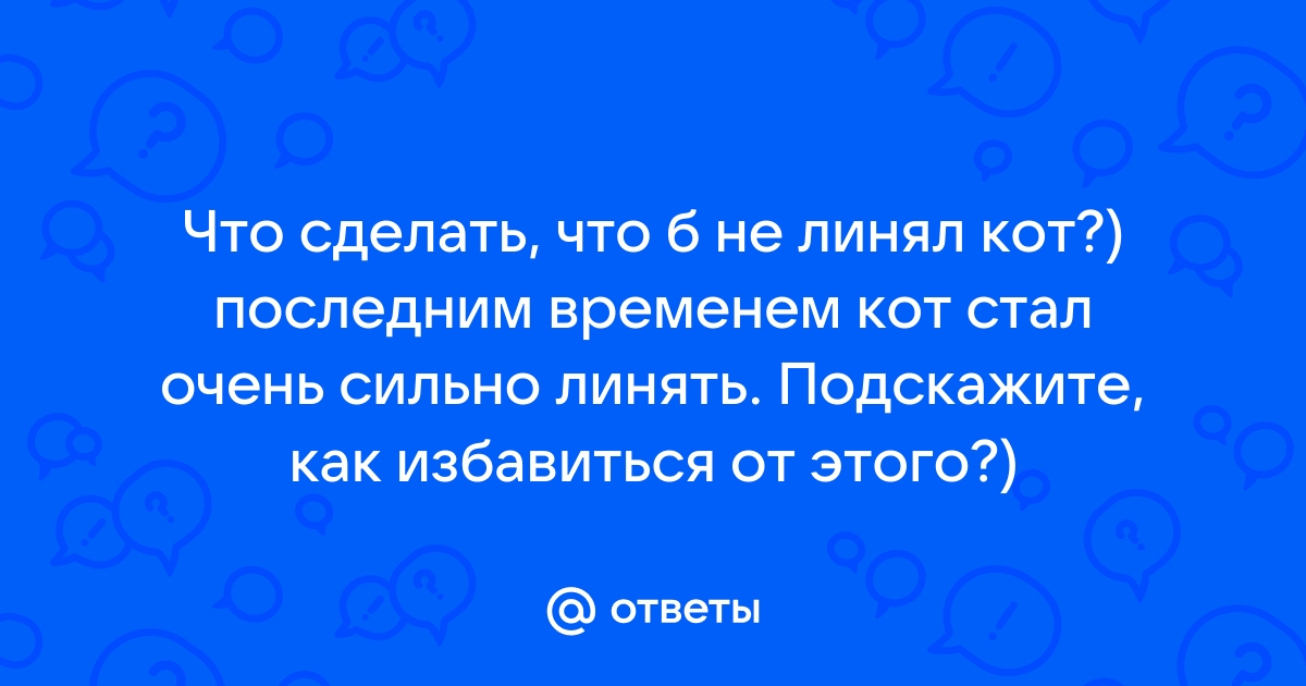 Какие витамины давать кошке от выпадения шерсти?