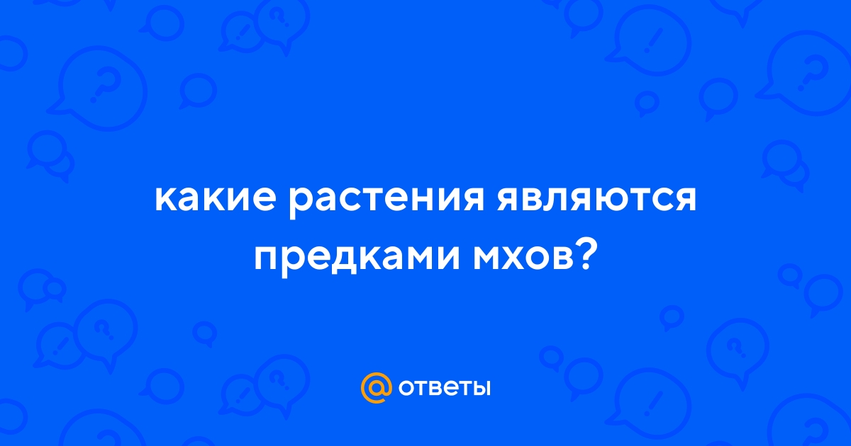 Ответы Mail.ru: какие растения являются предками мхов?