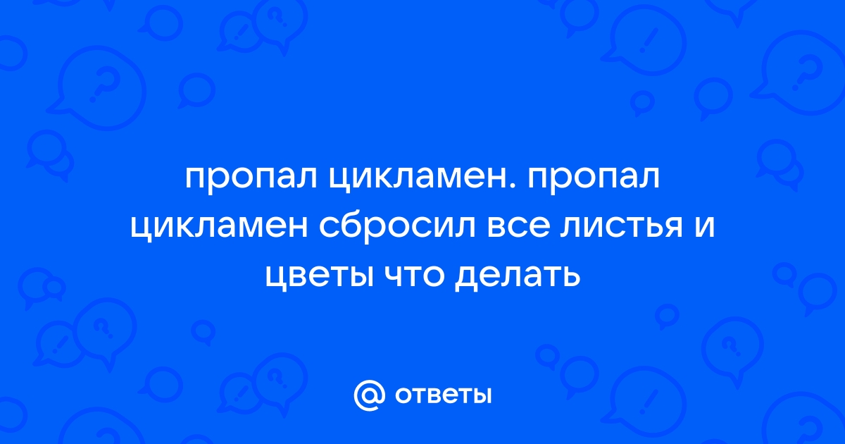 Цикламен сбросил листья и цветы. | Садовый мотив | Дзен