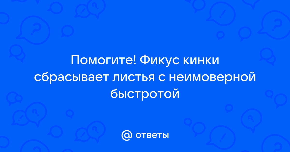 Узнайте, почему фикус Бенджамина сбрасывает листья и какие причины этому способствуют