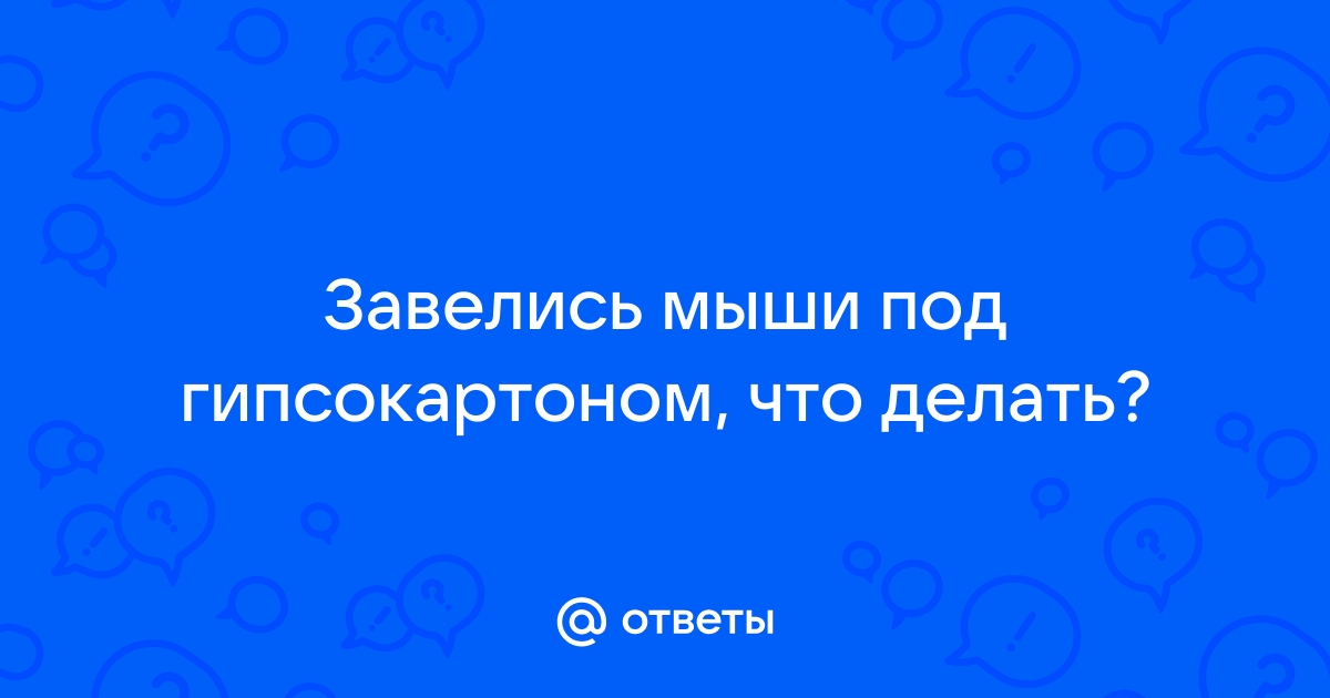 Мыши Под Гипсокартоном - Что Делать: Советы | trenazer43.ru