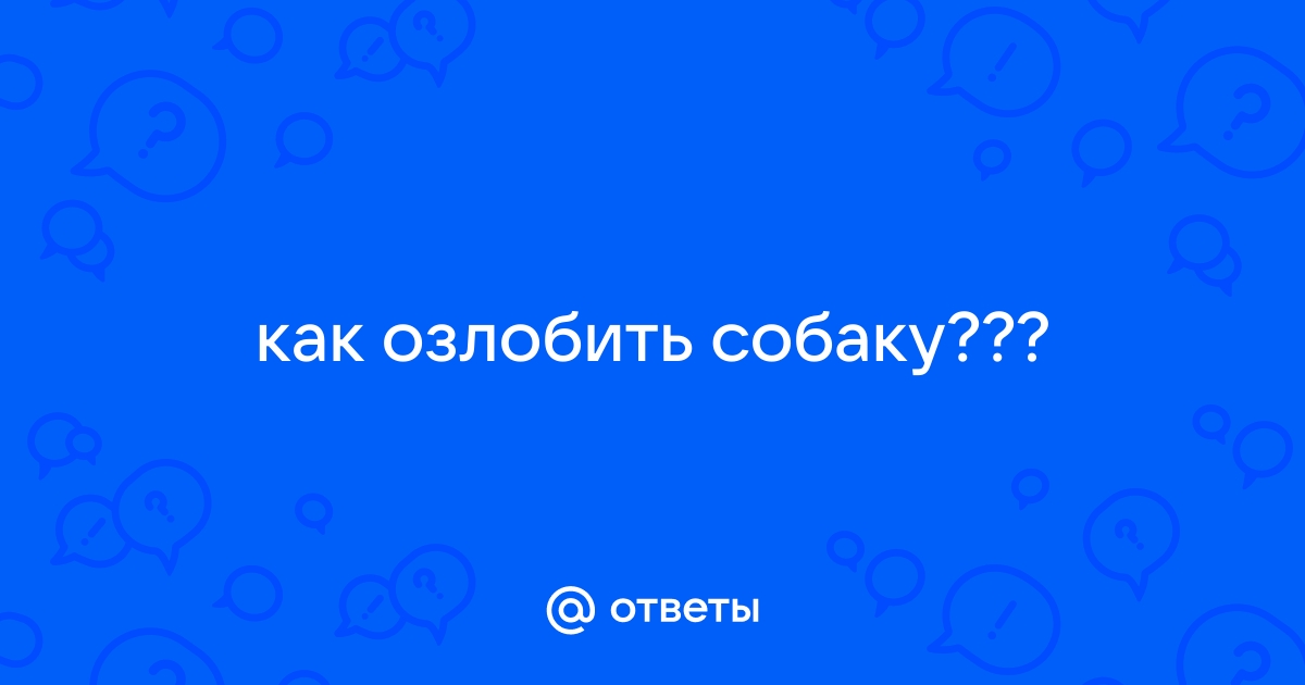 Как научить собаку быть злой? Как вырастить злую собаку?