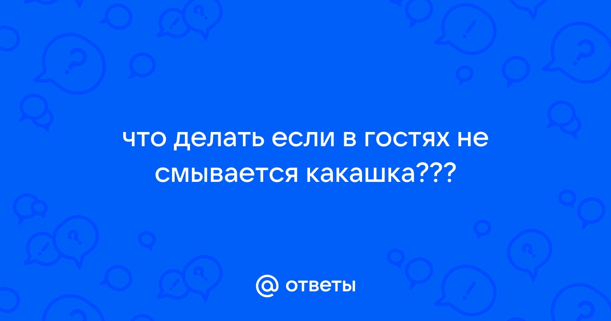 Что делать если какашка застряла в унитазе