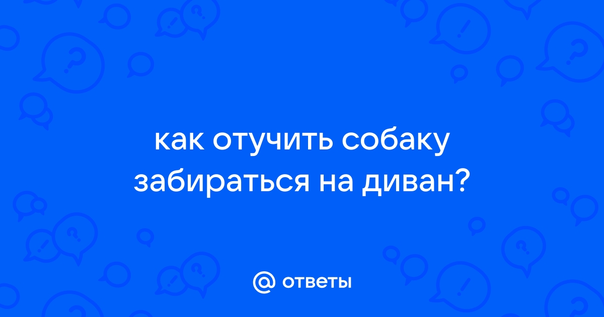 Как отучить собаку забираться на диван