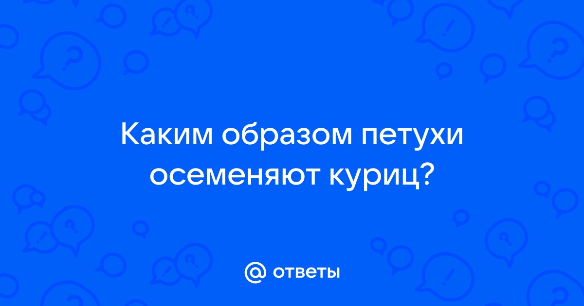 Секс с живой курицей вынудил мужчину повеситься