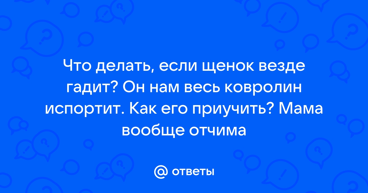 Щенок 6 месяцев гадит на кровать