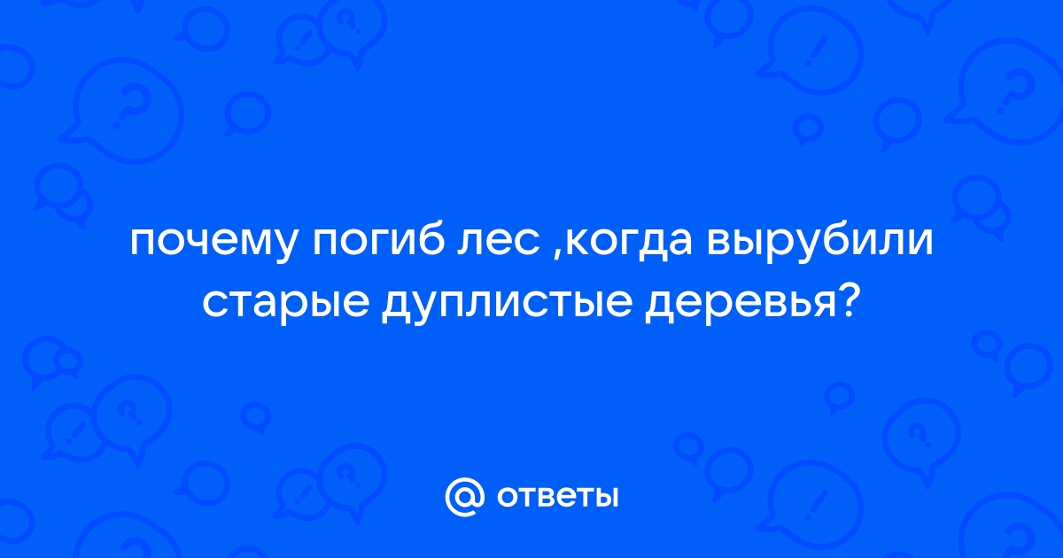 Почему погиб лес, когда вырубили дуплистые деревья - Универ soloBY