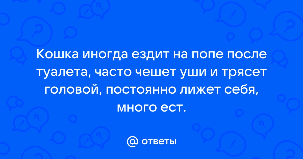 Котенок катается на попе после туалета