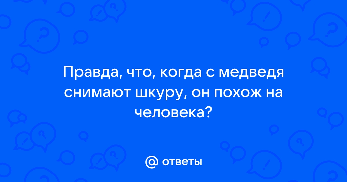 Браконьер выложил фотографию с медведем в соцсети и попал под суд - мебель-дома.рф