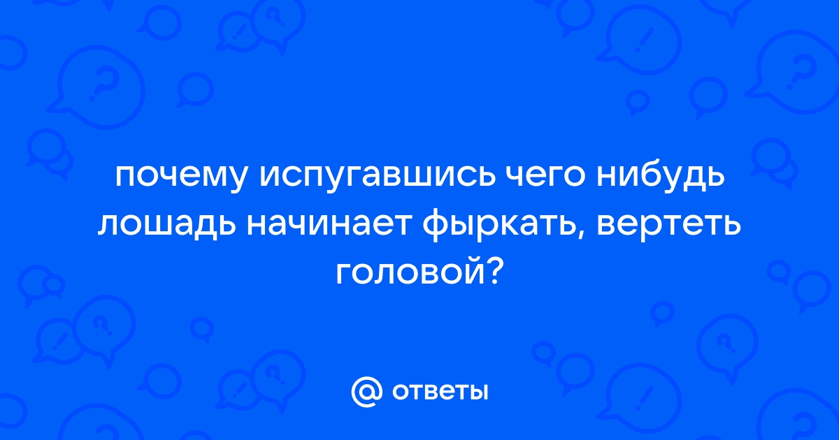 Новости » Интеллектуальная игра «Обо всем на свете»