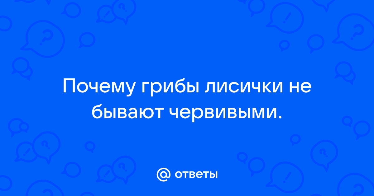 Почему лисички не бывают червивыми и как правильно их готовить: правильный ответ знают единицы