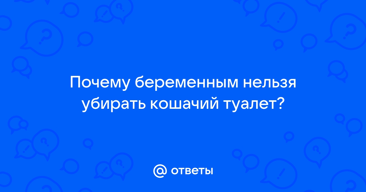 Почему беременным нельзя менять кошачий туалет?