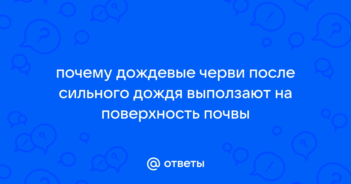 Ответы велосипеды-тут.рф: почему дождевые черви после сильного дождя выползают на поверхность почвы