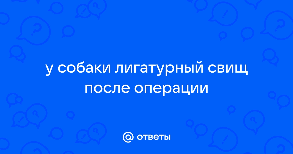 как лечить свищ у собаки после стерилизации | Дзен