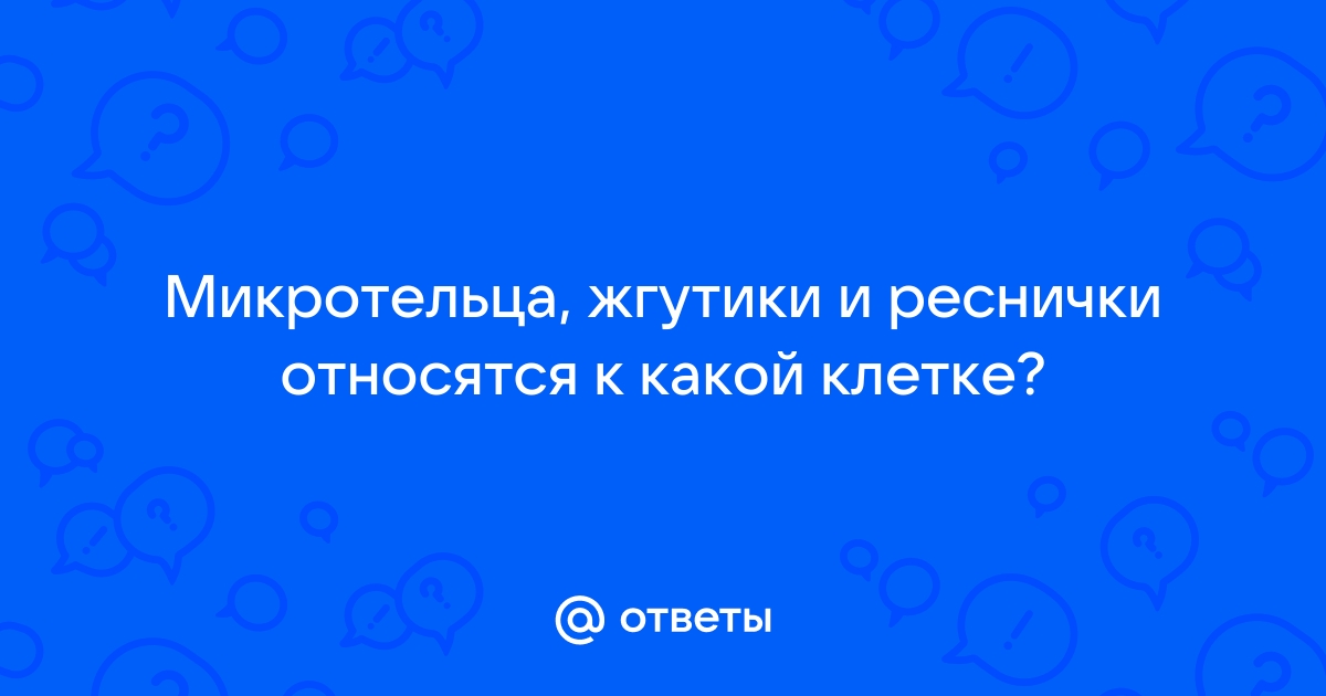 Лекция № 7. Эукариотическая клетка: строение и функции органоидов