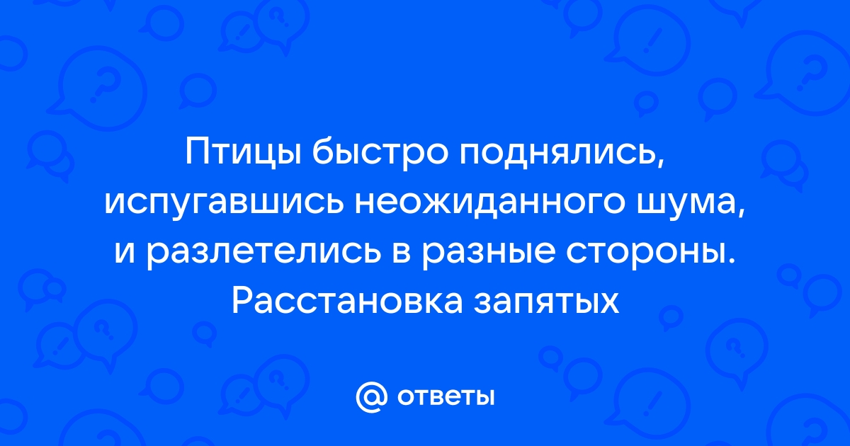 Мурмурация: что это такое, фото, зачем птицы сбиваются в целые тучи