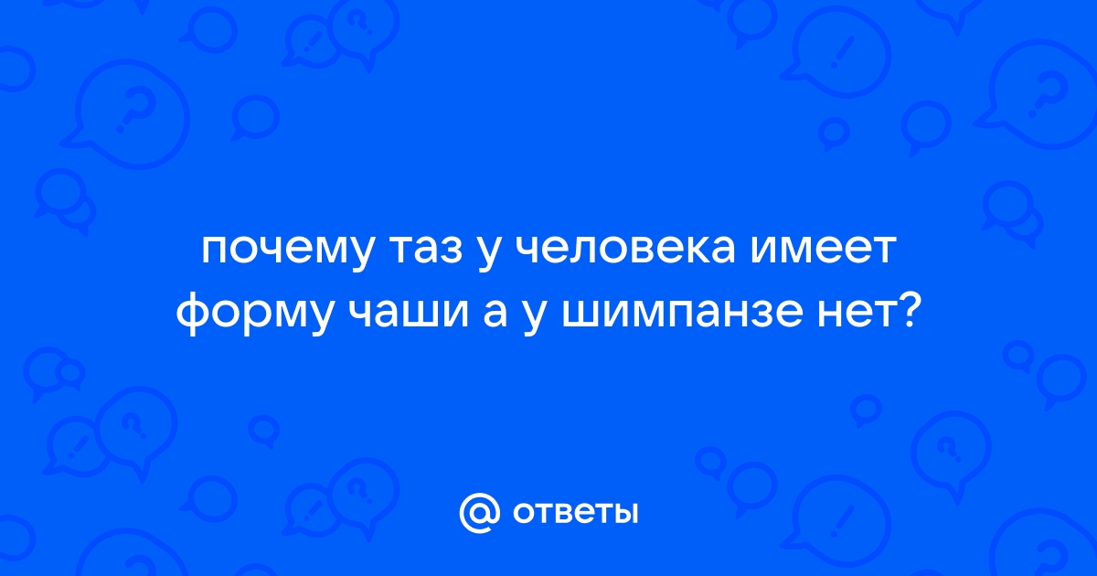 Тема 4. Опорно-двигательная система. | 8 класс